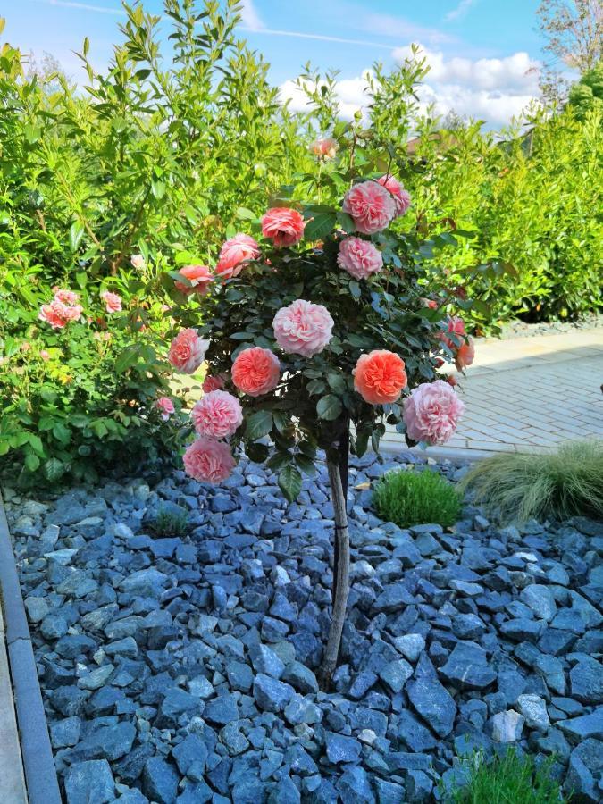 Feriendomizil Schlossblick 블랑켄부르크 외부 사진