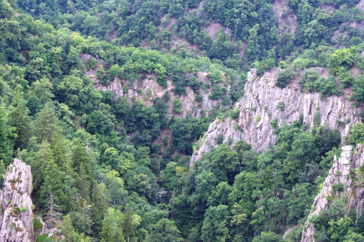Feriendomizil Schlossblick 블랑켄부르크 외부 사진
